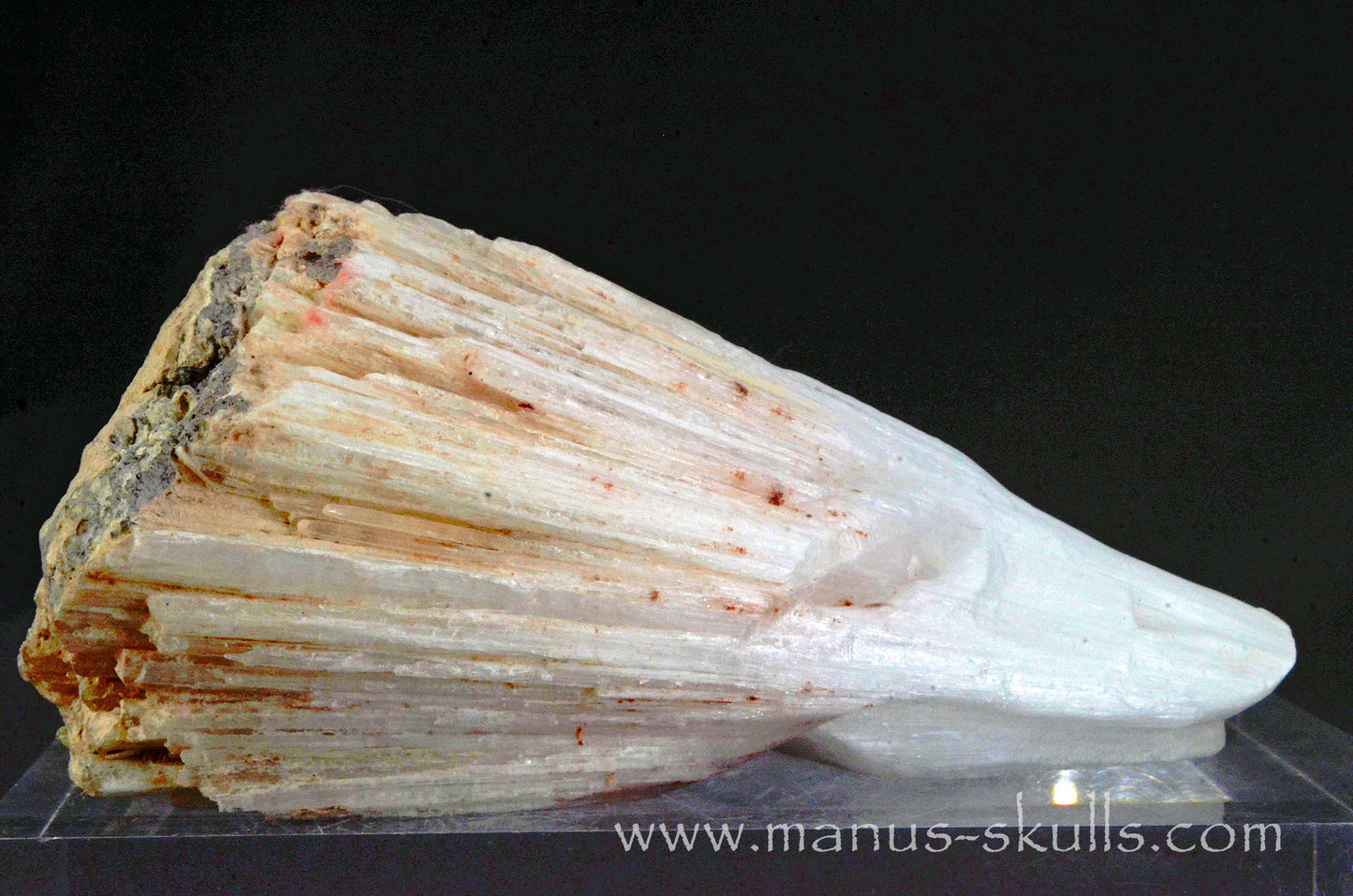 Scolecite Dragon