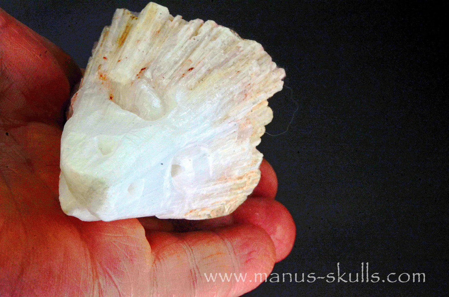 Scolecite Dragon
