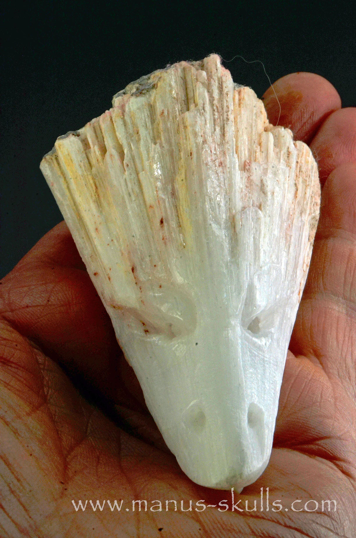 Manus skulls Evolians Dragolians unique Crystal Carvings handmade skulls dragons pendants preseli bluestone tribals spiritual meaning wand Unicorn ..  scolecite