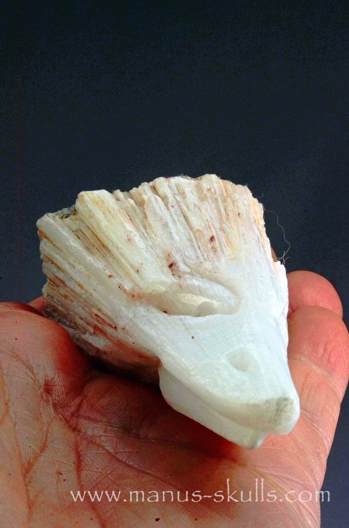 Scolecite Dragon