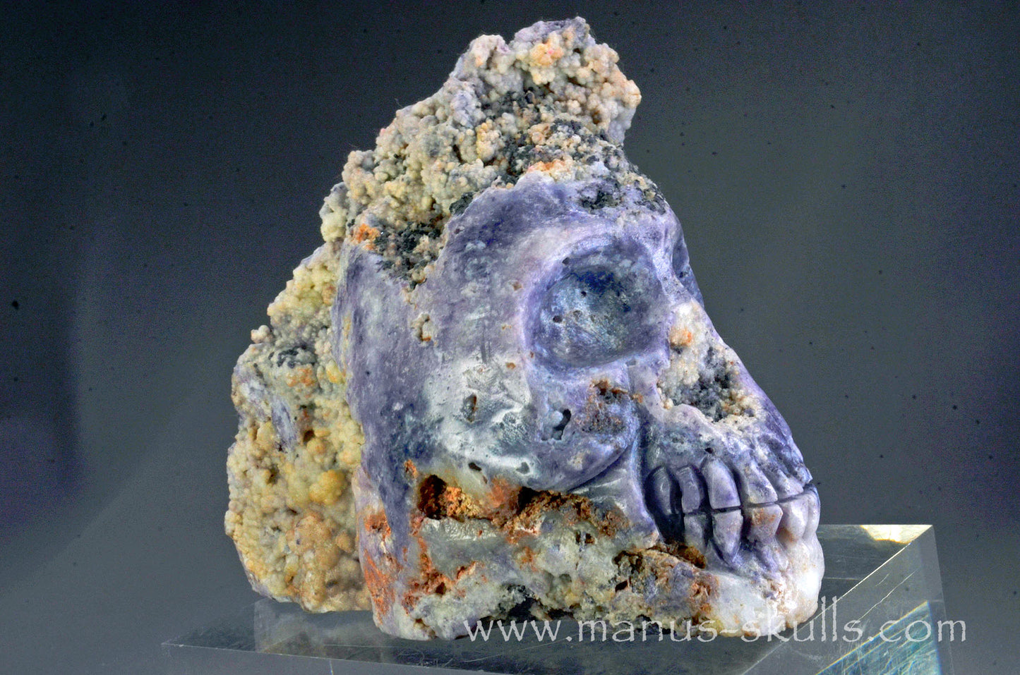 Rare Morado Agate Skull