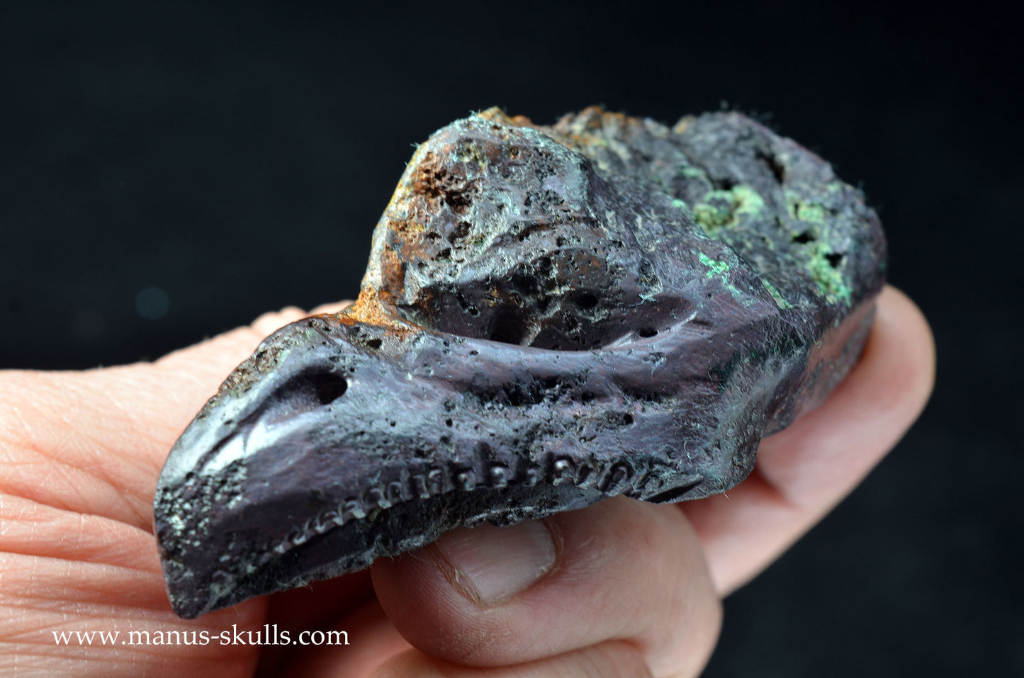 Cuprite (Bisbee USA) Dragon Bird