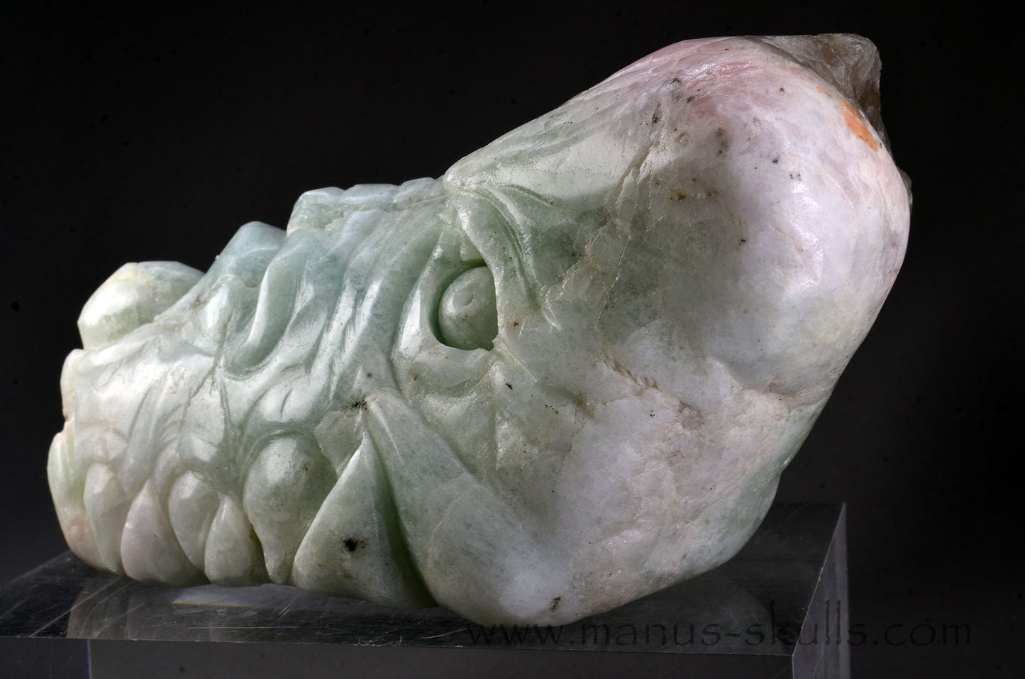 Stunning big Morganite Dragon