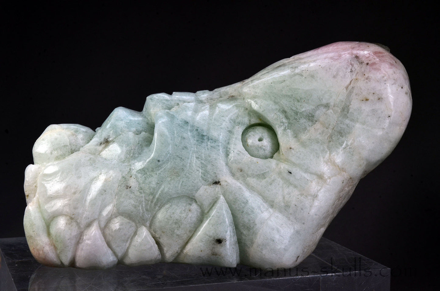 Stunning big Morganite Dragon