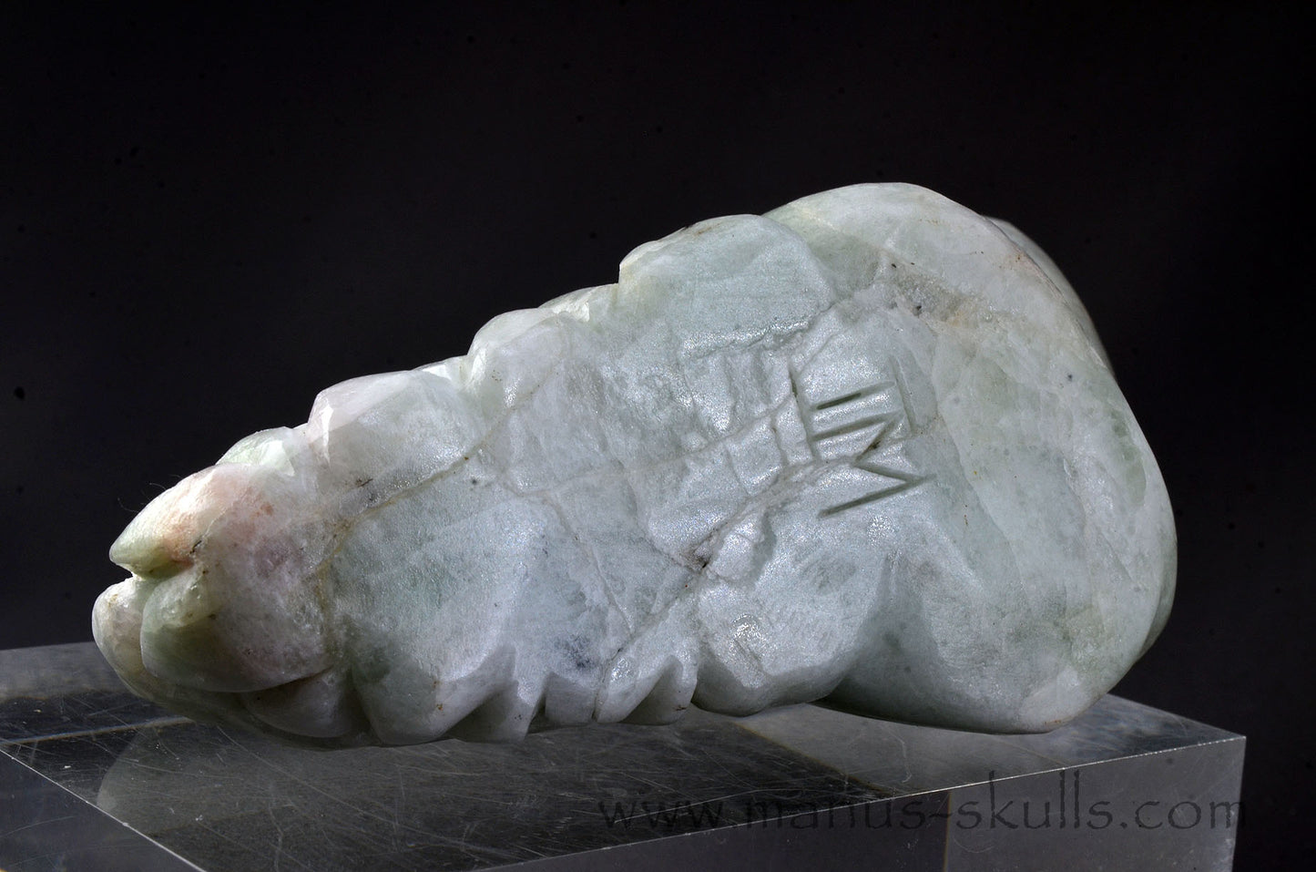 Stunning big Morganite Dragon