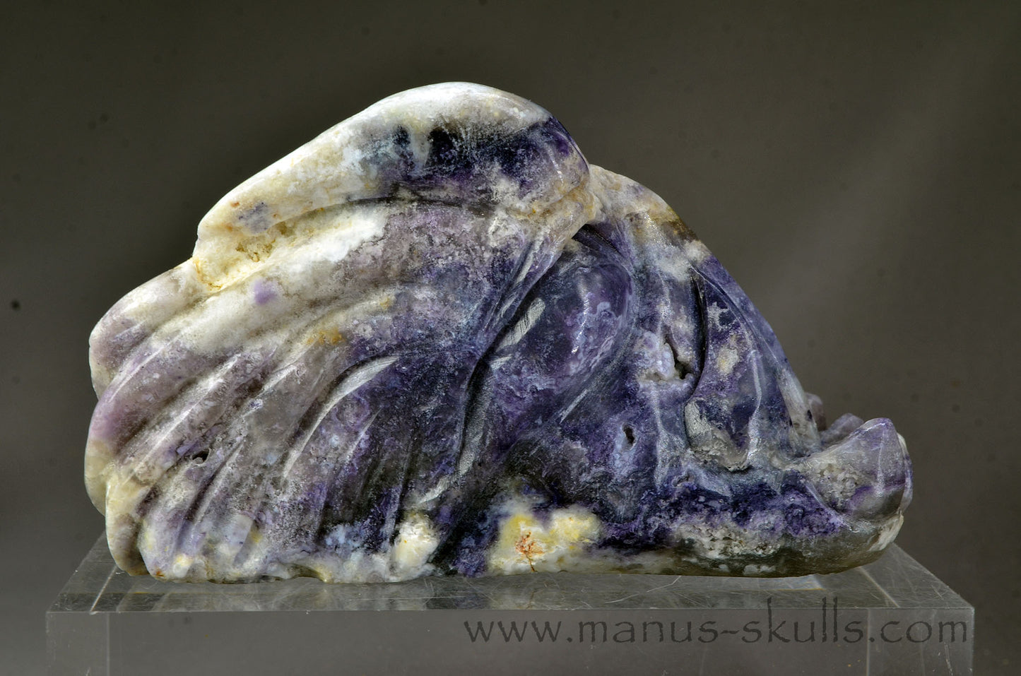 Morado Opal Dragon