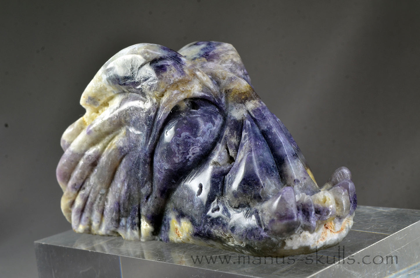 Morado Opal Dragon