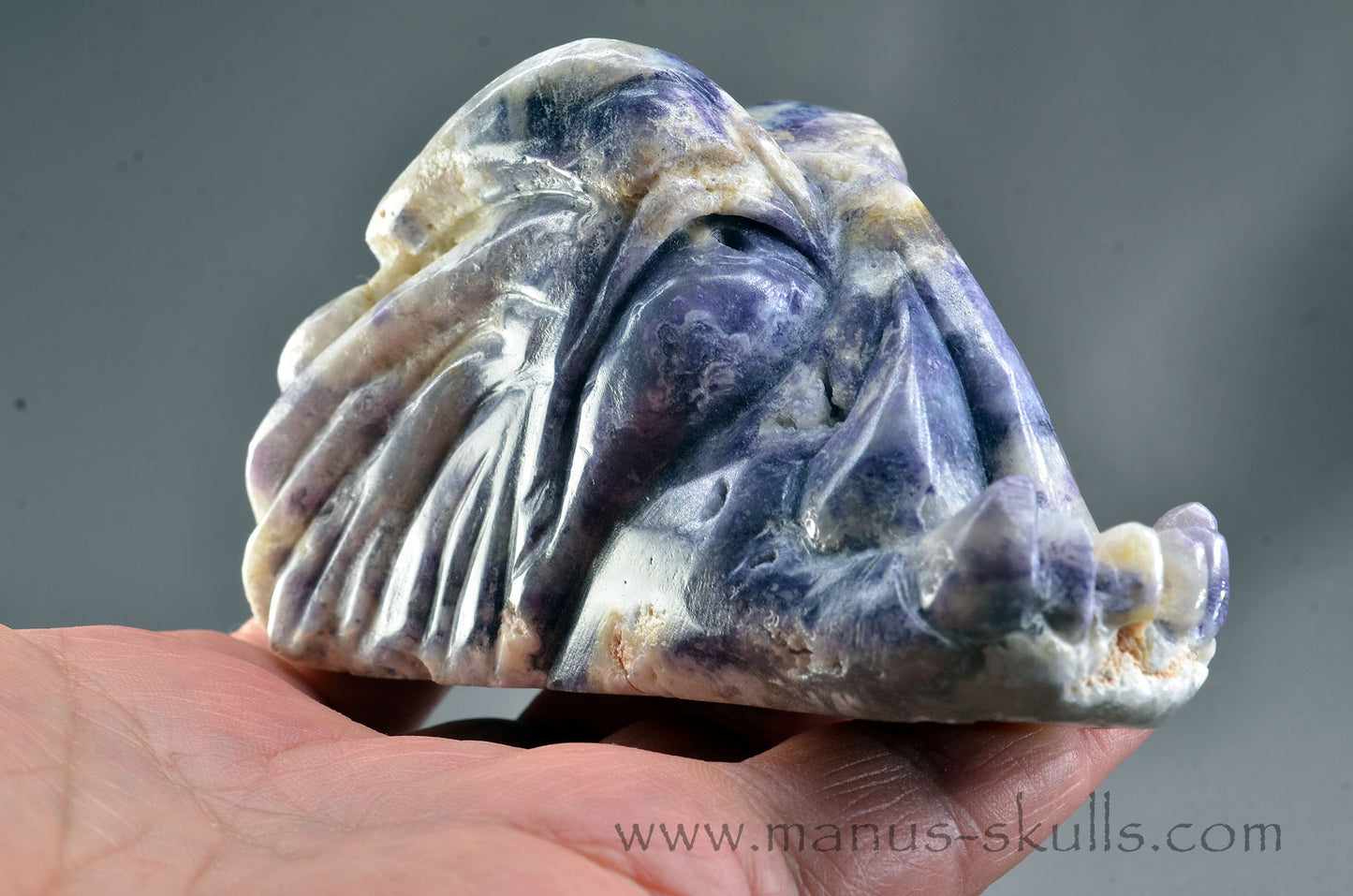 Morado Opal Dragon