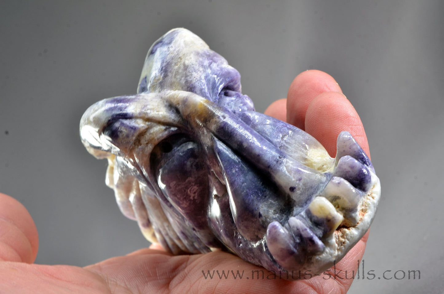 Morado Opal Dragon