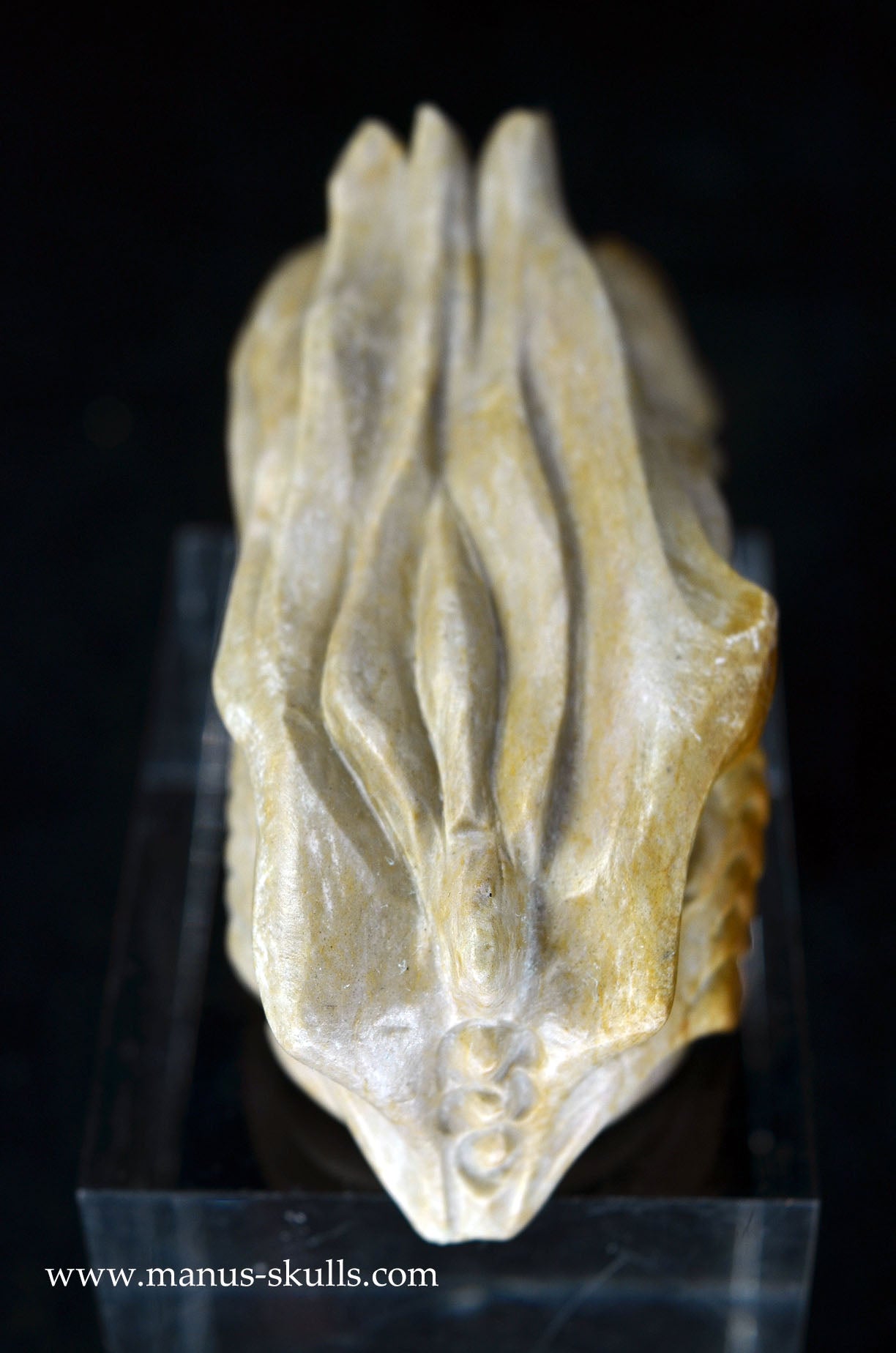 Manus skulls unique Crystal Carvings handmade skulls dragons pendants preseli bluestone tribals spiritual meaning wand Unicorn ..  sarsens stone