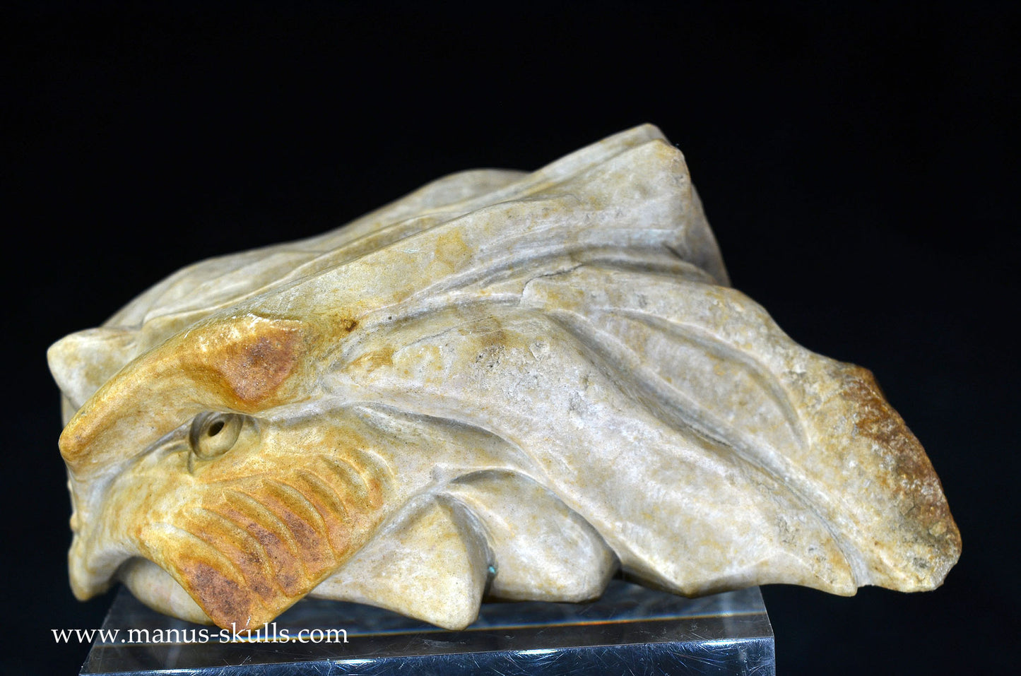 Feminine SARSENS STONE Fish Dragon. (Stonehenge Stone)