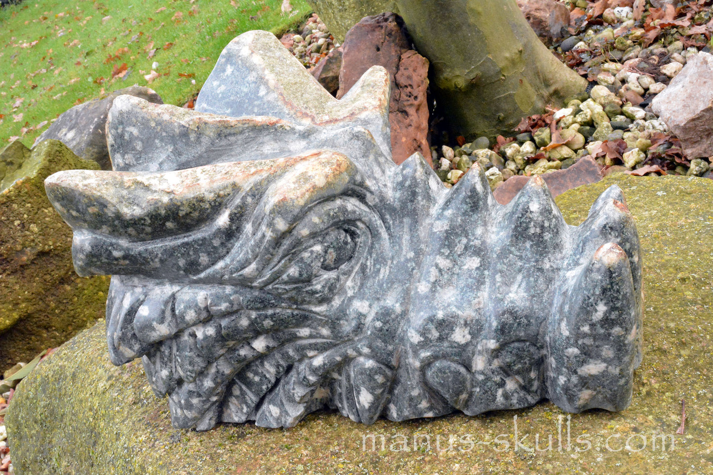 HUGE Preseli Bluestone master Dragon (20 KG)