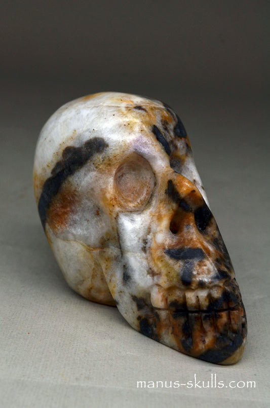 Zebra Agate Manus Skull