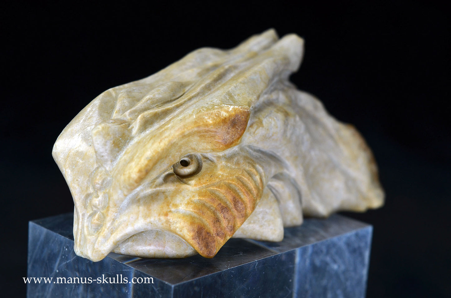 Feminine SARSENS STONE Fish Dragon. (Stonehenge Stone)