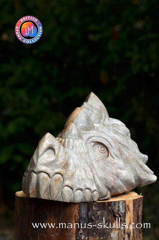 ENORME Preseli Bluestone draak (20 KG)
