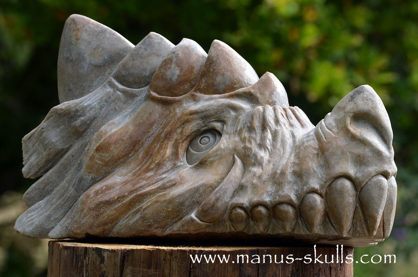 RIESIGER Preseli-Blaustein-Meisterdrache (20 KG)