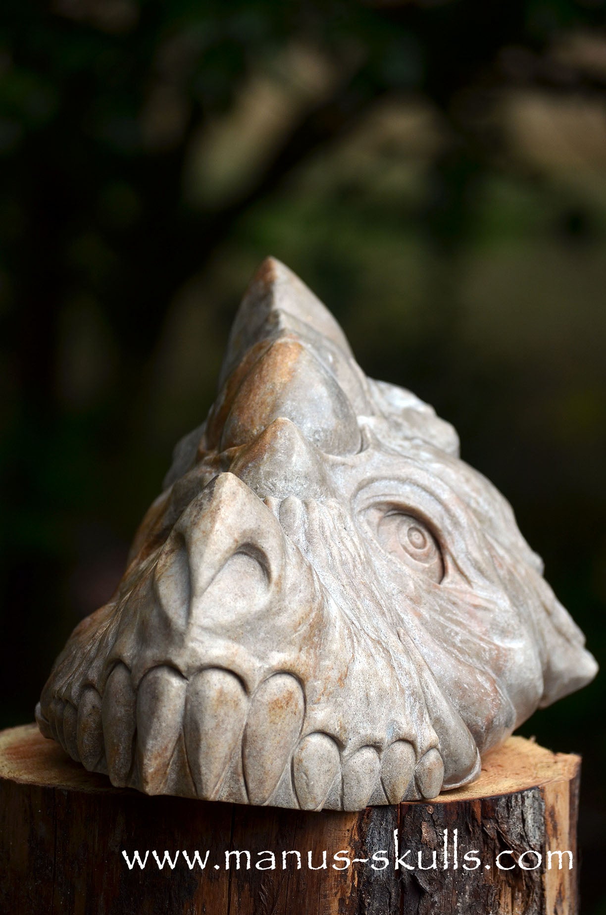 RIESIGER Preseli-Blaustein-Meisterdrache (20 KG)