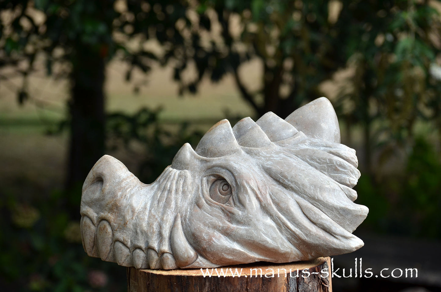 RIESIGER Preseli-Blaustein-Meisterdrache (20 KG)