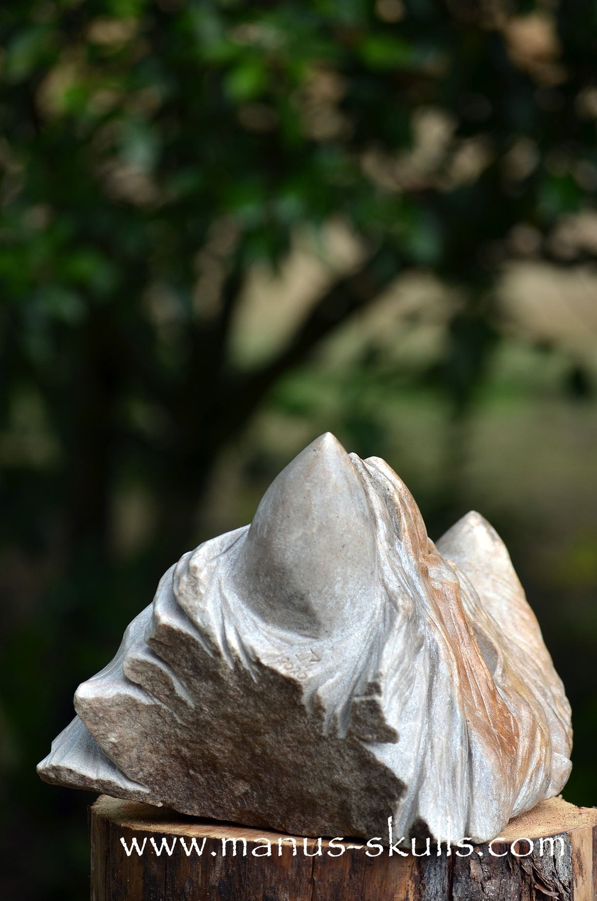 RIESIGER Preseli-Blaustein-Meisterdrache (20 KG)