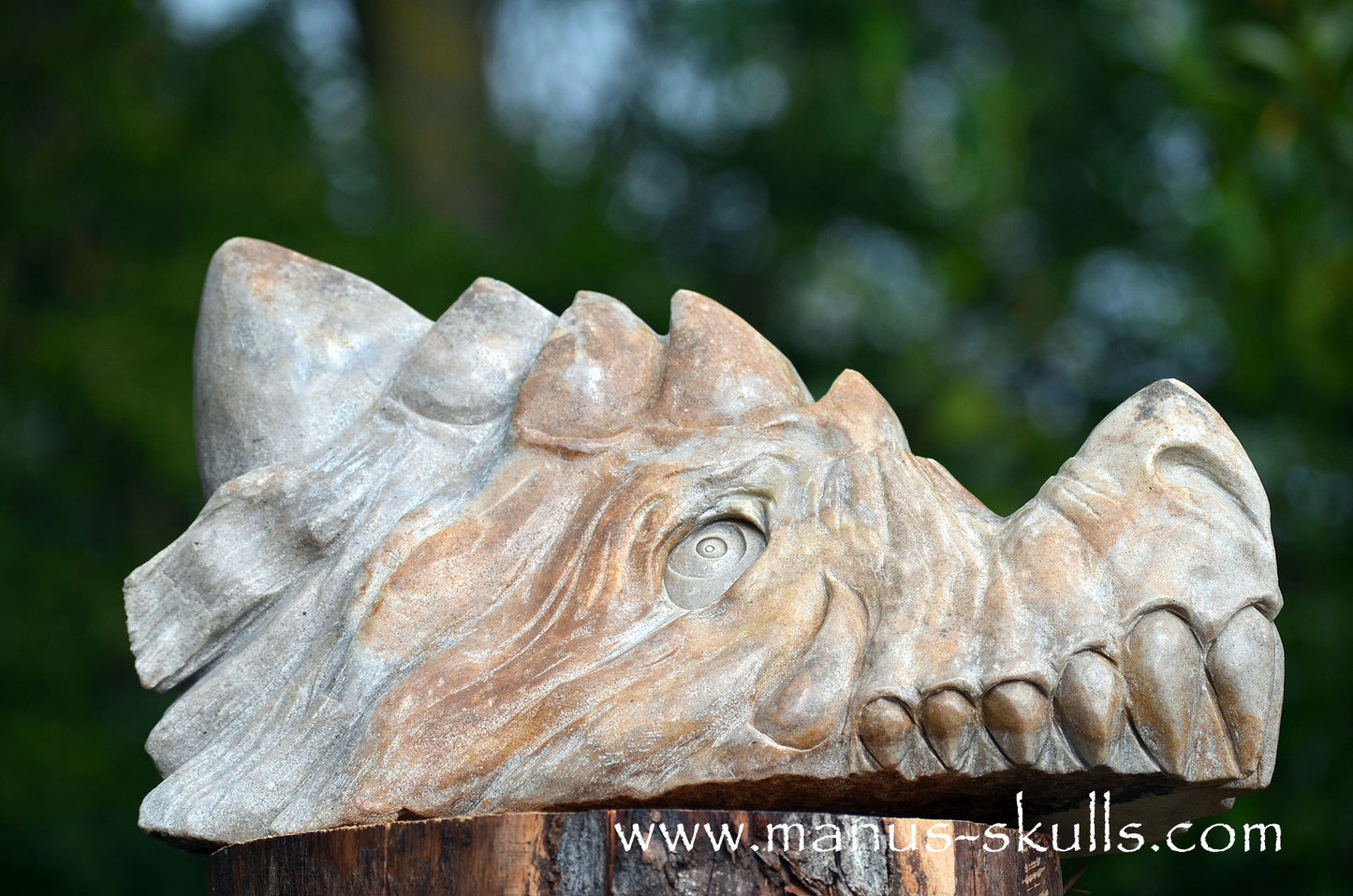 RIESIGER Preseli-Blaustein-Meisterdrache (20 KG)