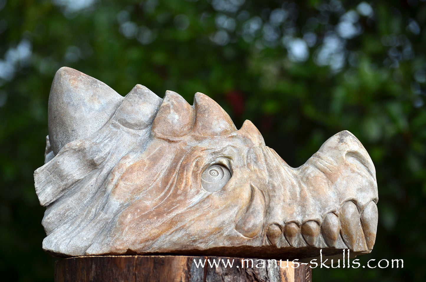 RIESIGER Preseli-Blaustein-Meisterdrache (20 KG)