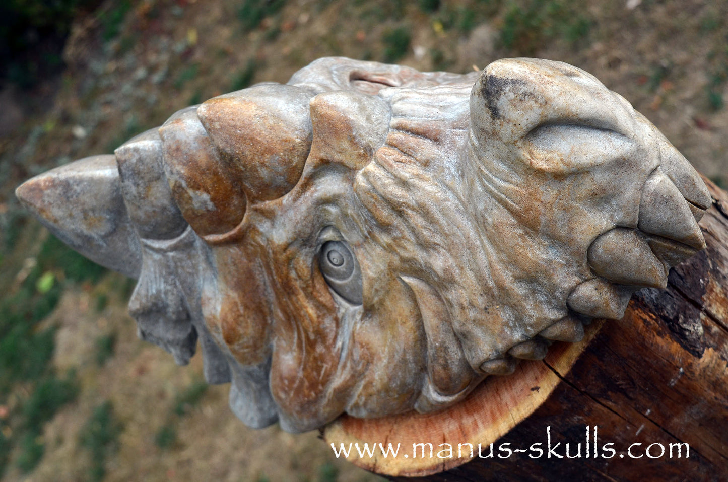 RIESIGER Preseli-Blaustein-Meisterdrache (20 KG)
