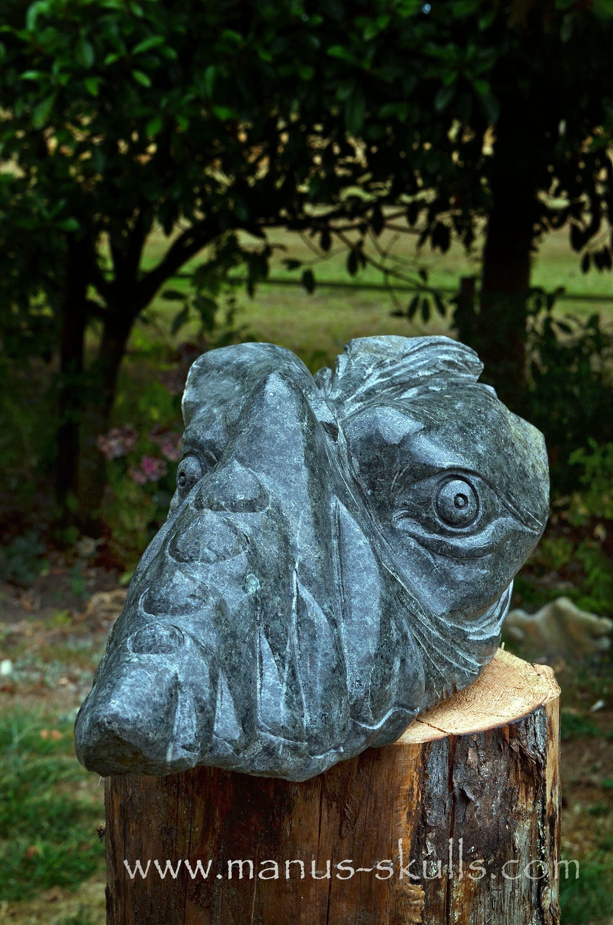 34.5 kg Unspotted PRESELI BLUESTONE Dragon