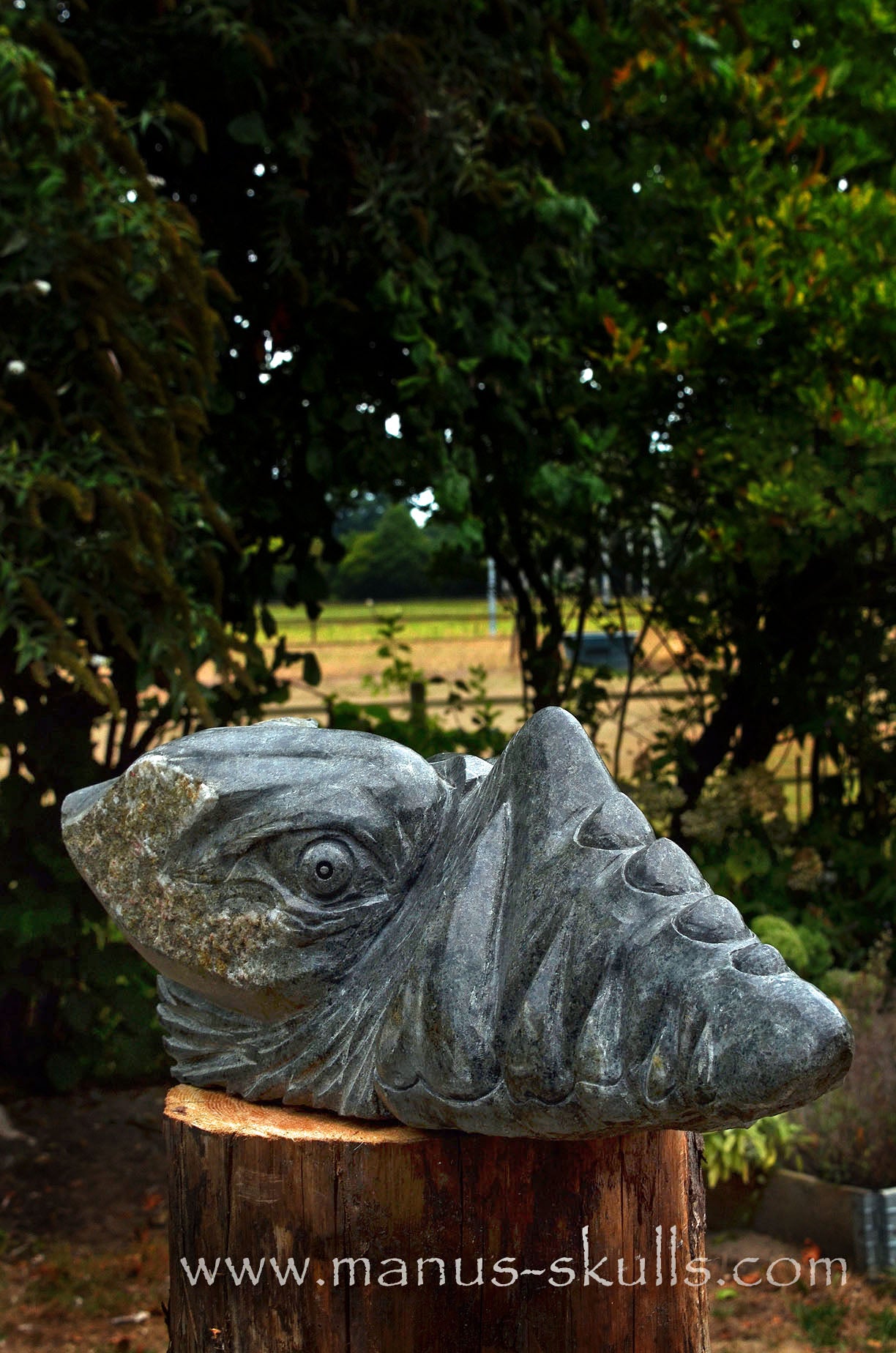 34.5 kg Unspotted PRESELI BLUESTONE Dragon