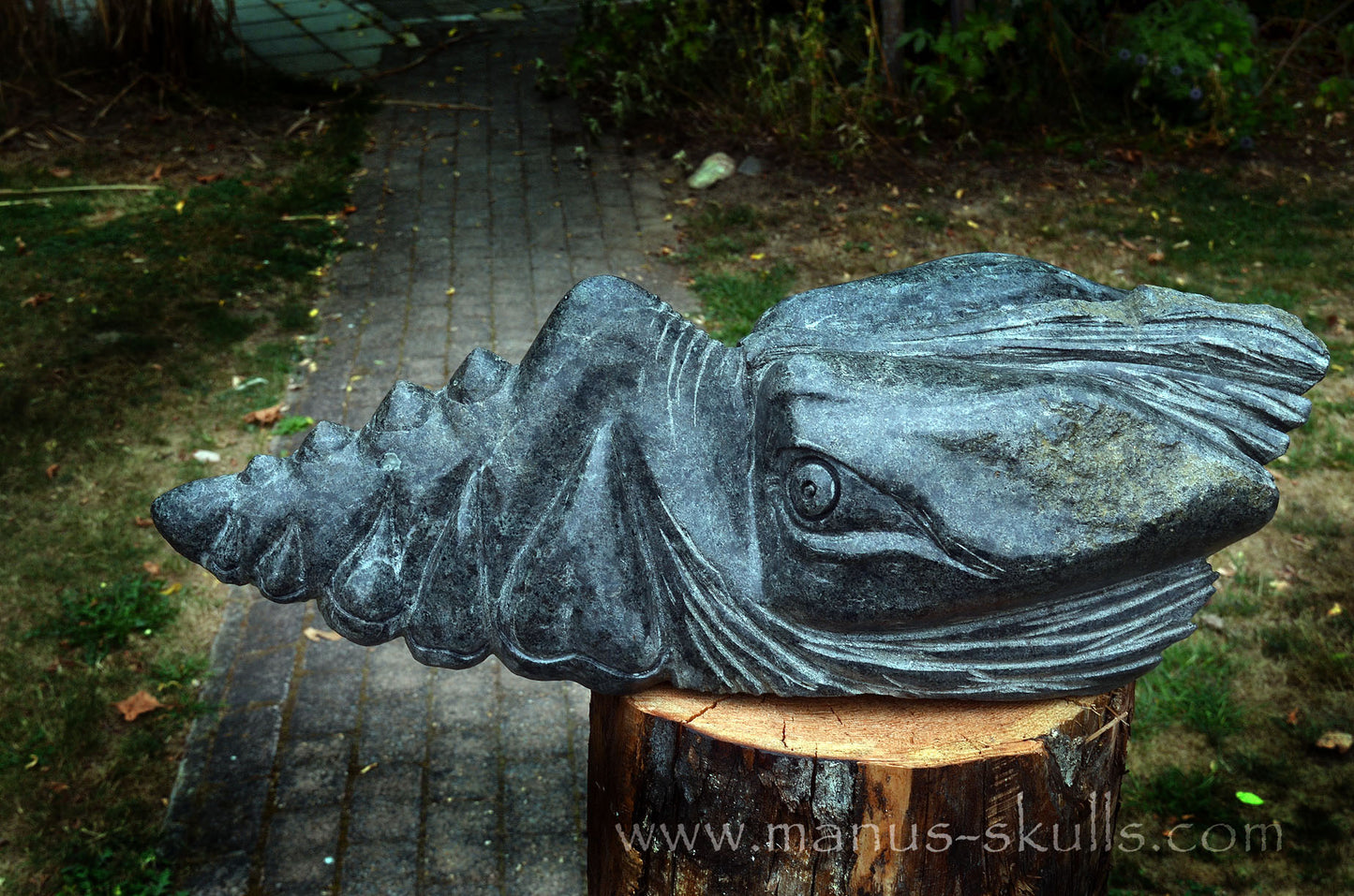 34.5 kg Unspotted PRESELI BLUESTONE Dragon