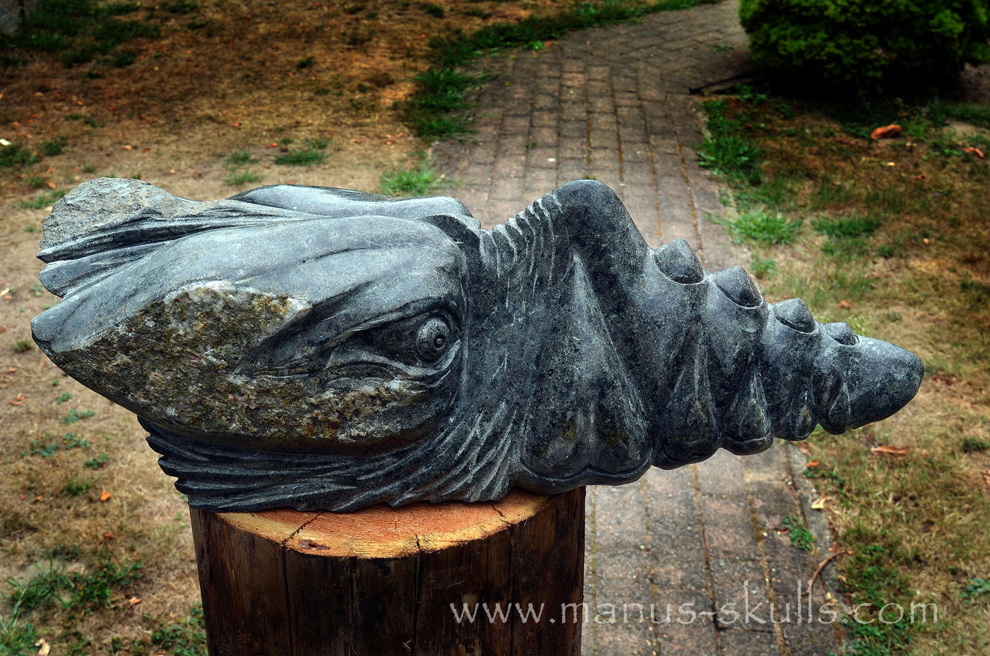 34.5 kg Unspotted PRESELI BLUESTONE Dragon
