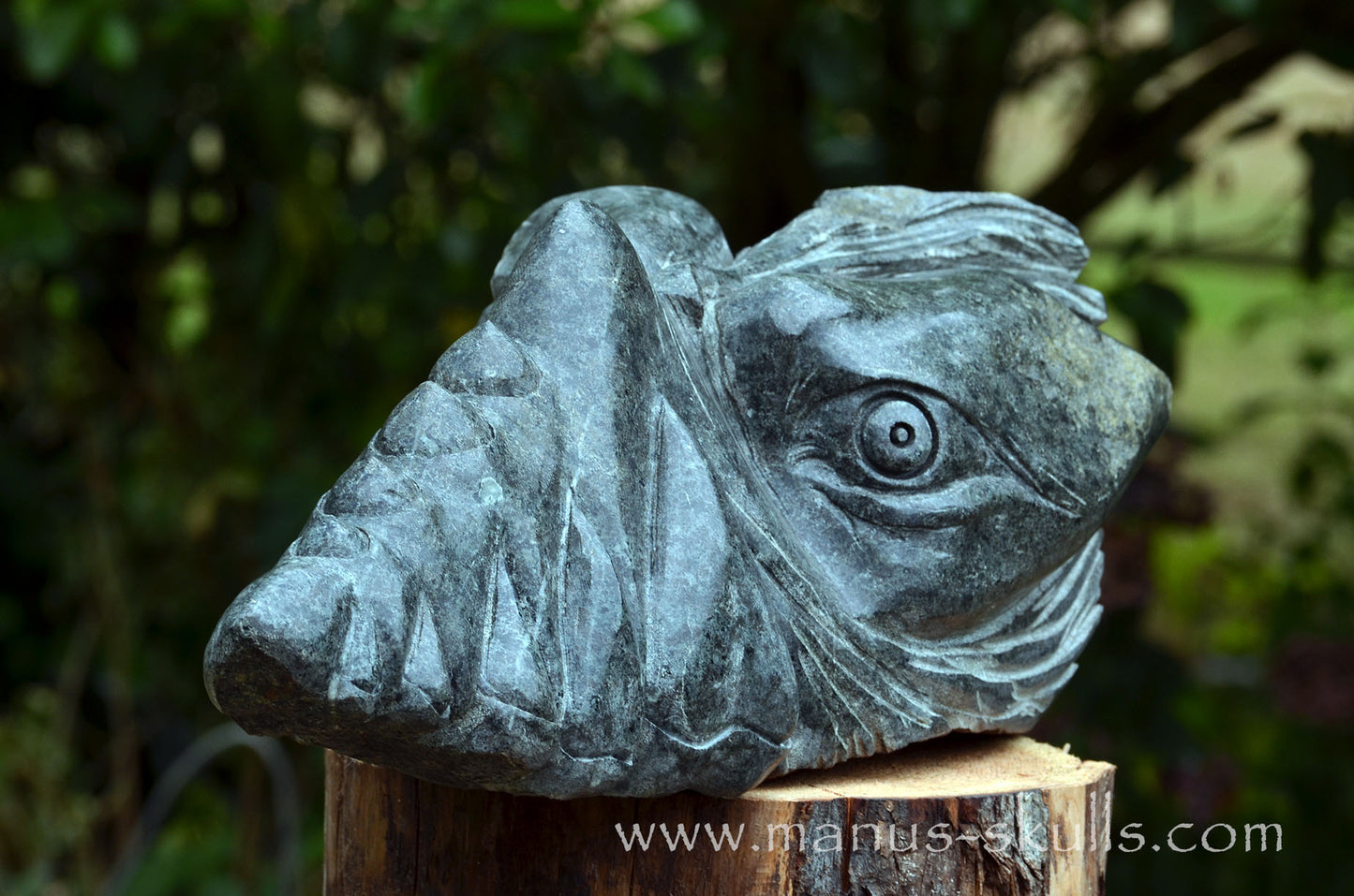 34.5 kg Unspotted PRESELI BLUESTONE Dragon