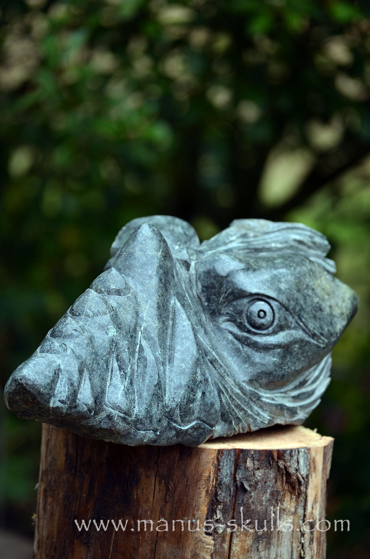 34.5 kg Unspotted PRESELI BLUESTONE Dragon