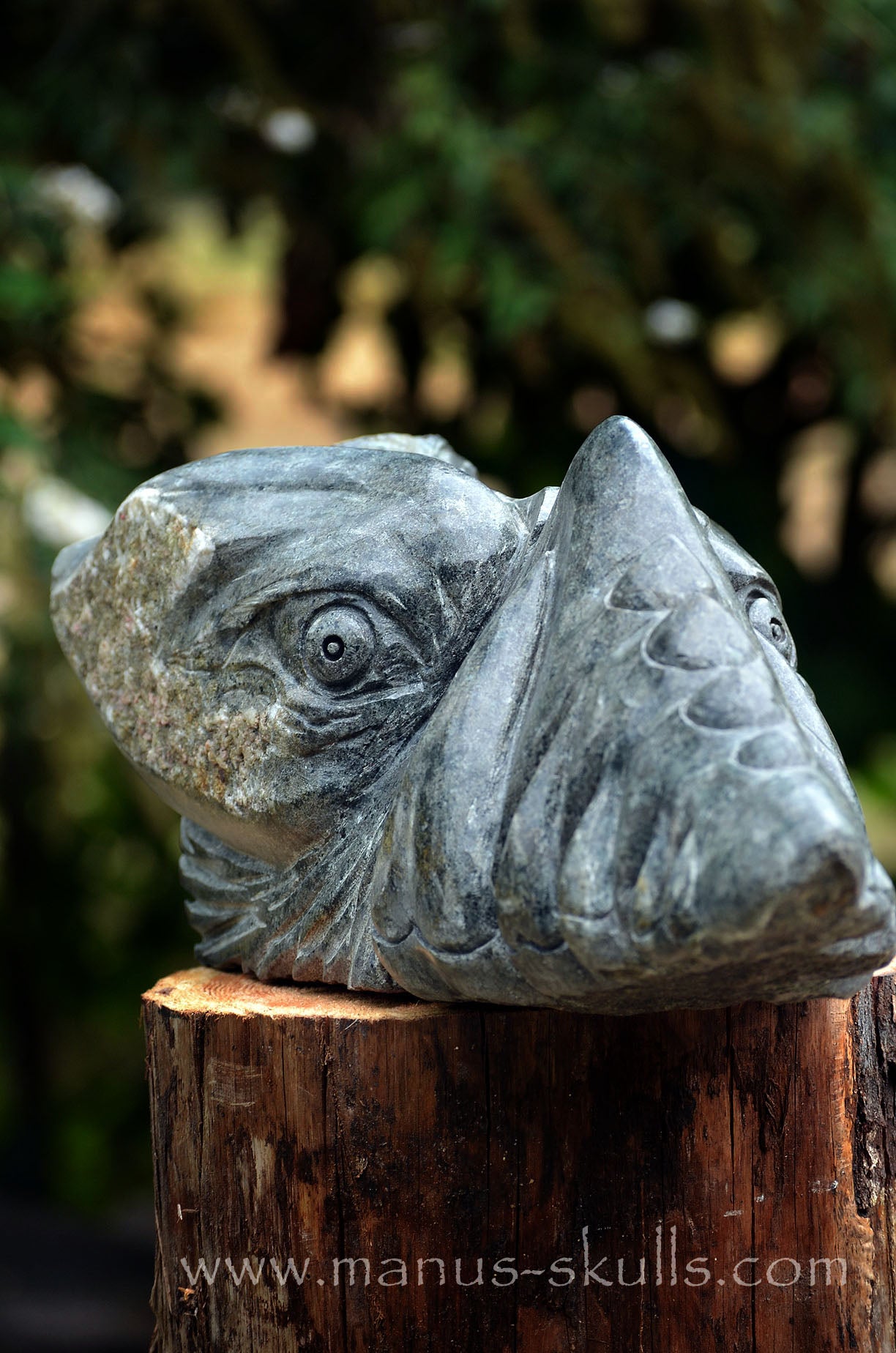 34.5 kg Unspotted PRESELI BLUESTONE Dragon