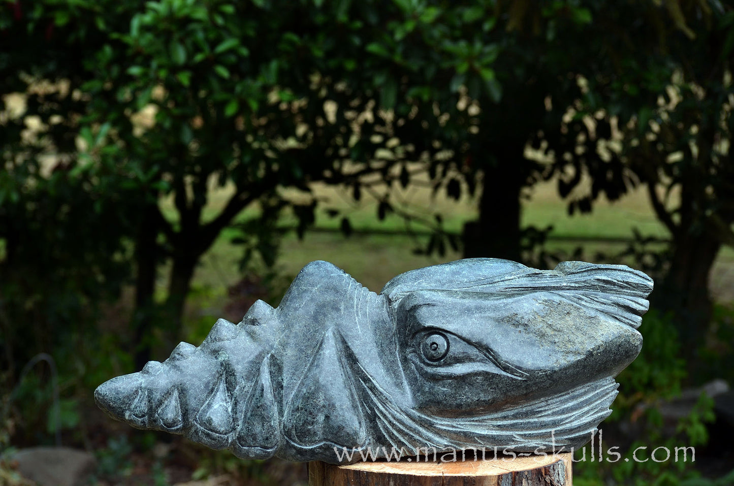 34.5 kg Unspotted PRESELI BLUESTONE Dragon