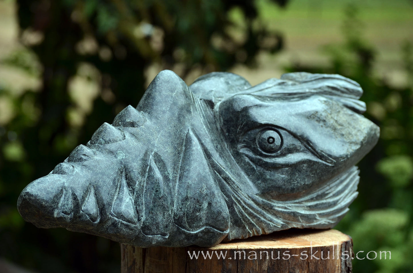34.5 kg Unspotted PRESELI BLUESTONE Dragon