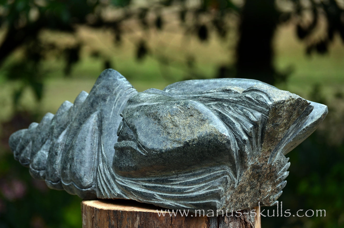 34.5 kg Unspotted PRESELI BLUESTONE Dragon