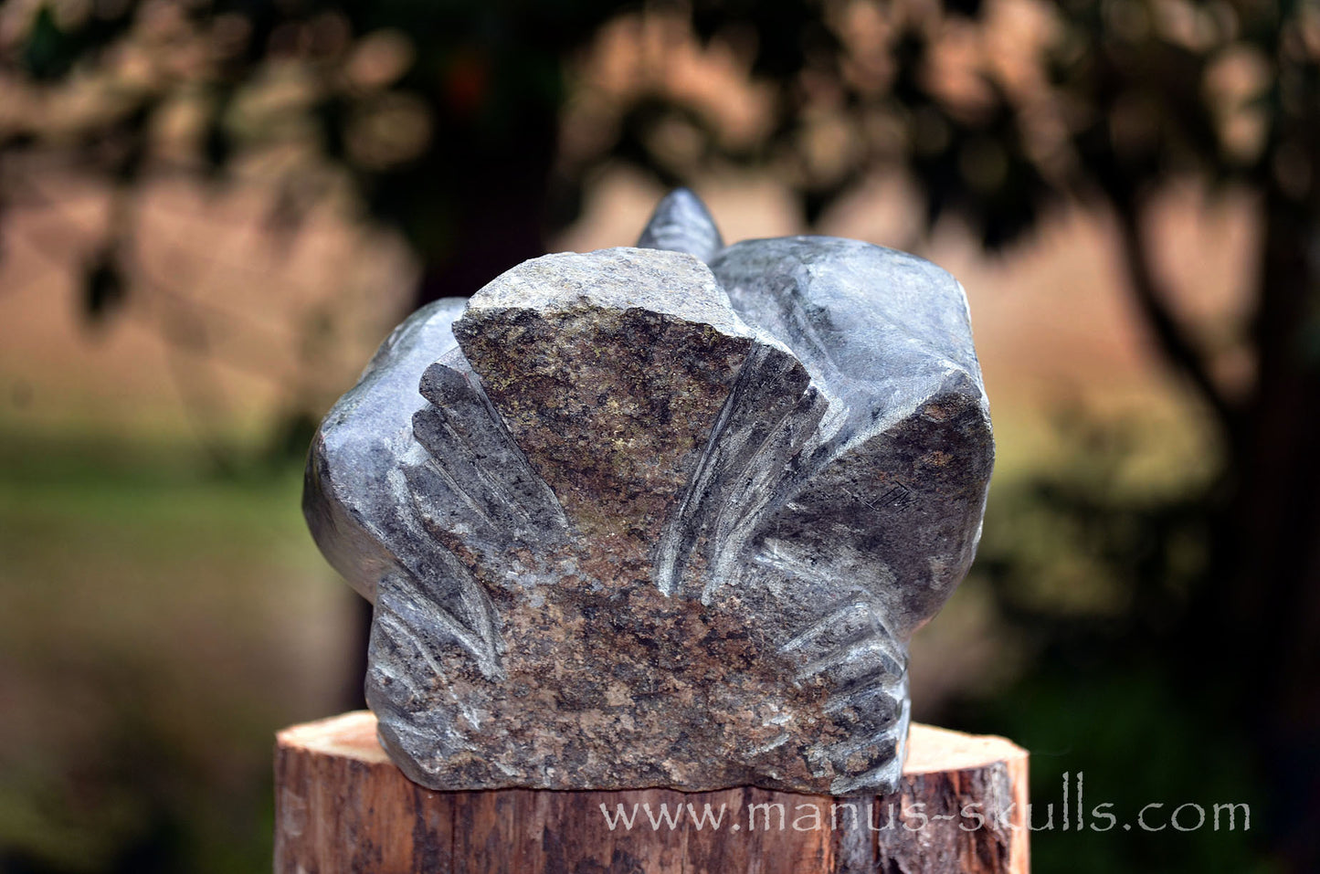 34.5 kg Unspotted PRESELI BLUESTONE Dragon