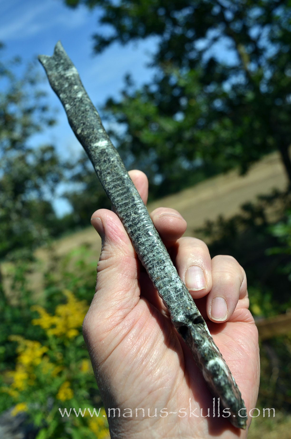 Preseli Bluestone Dragon Wand