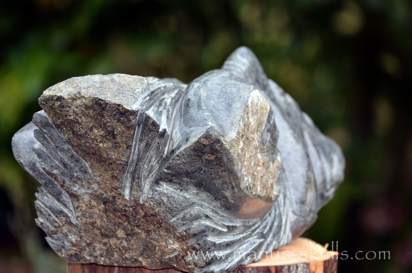 34.5 kg Unspotted PRESELI BLUESTONE Dragon
