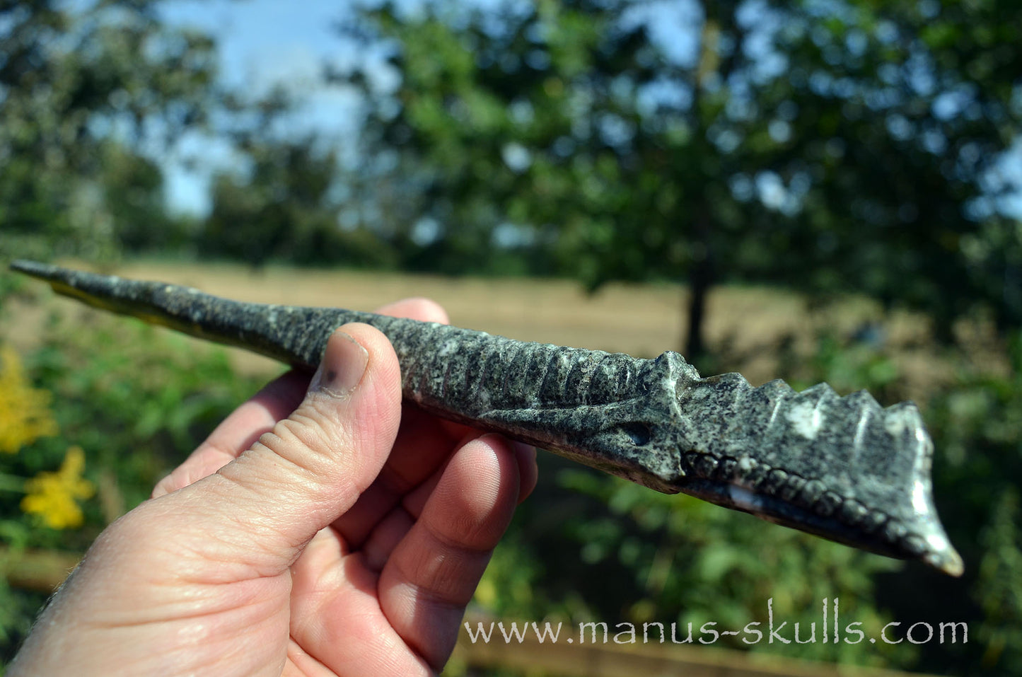Preseli Bluestone Dragon Wand