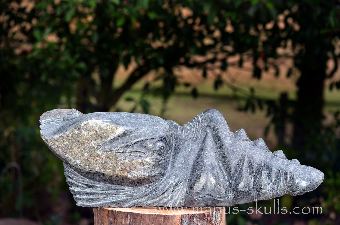 34.5 kg Unspotted PRESELI BLUESTONE Dragon