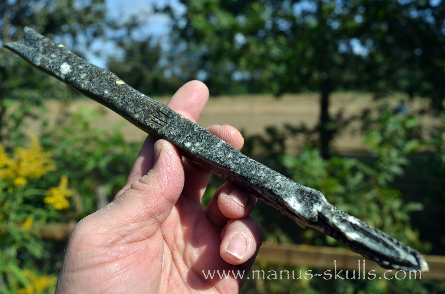 Preseli Bluestone Dragon Wand