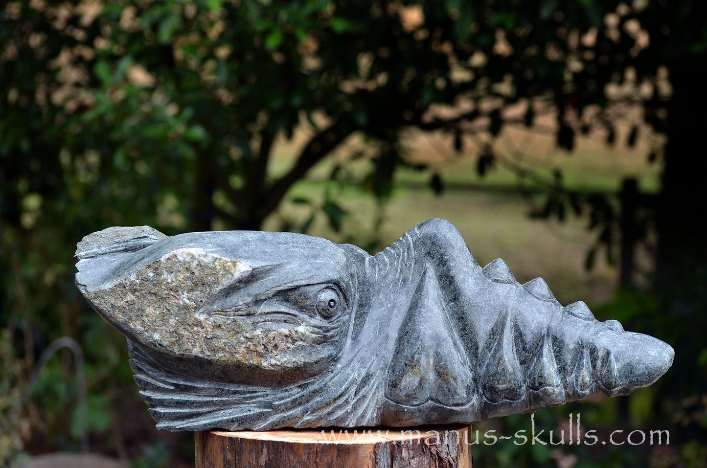 34.5 kg Unspotted PRESELI BLUESTONE Dragon