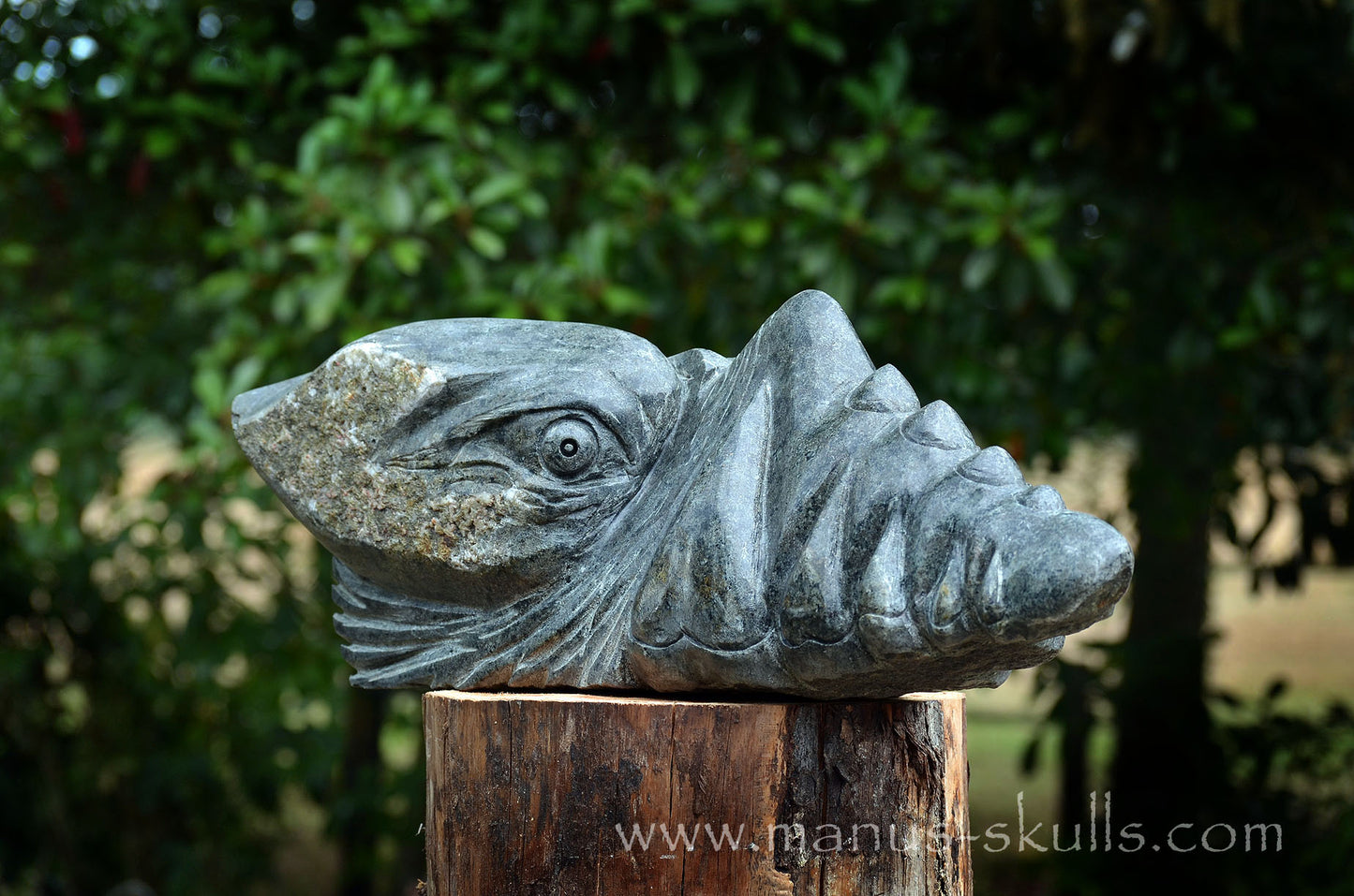 34.5 kg Unspotted PRESELI BLUESTONE Dragon