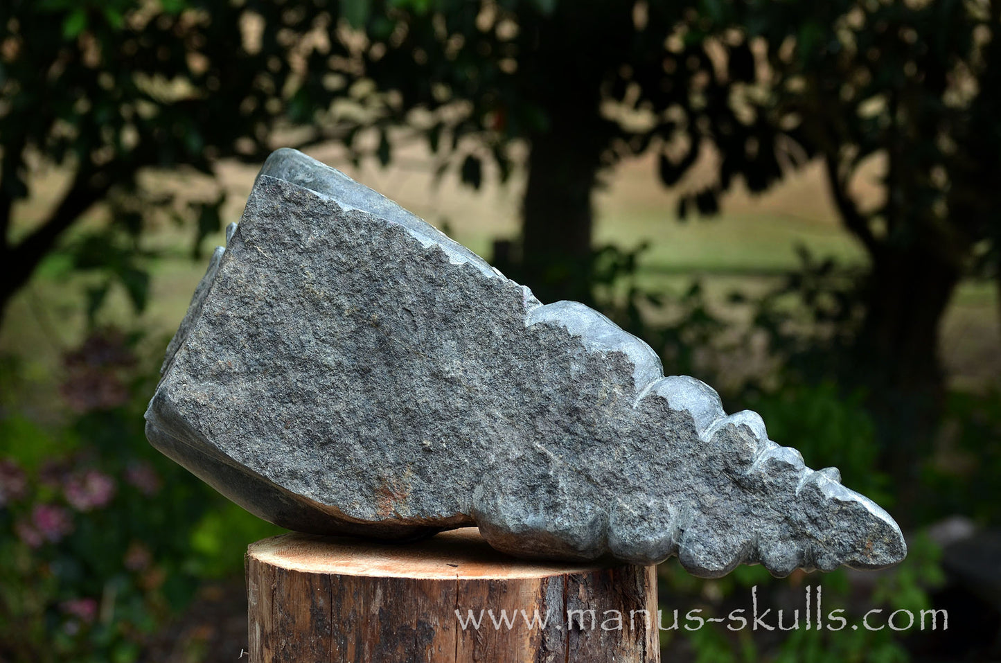 34.5 kg Unspotted PRESELI BLUESTONE Dragon