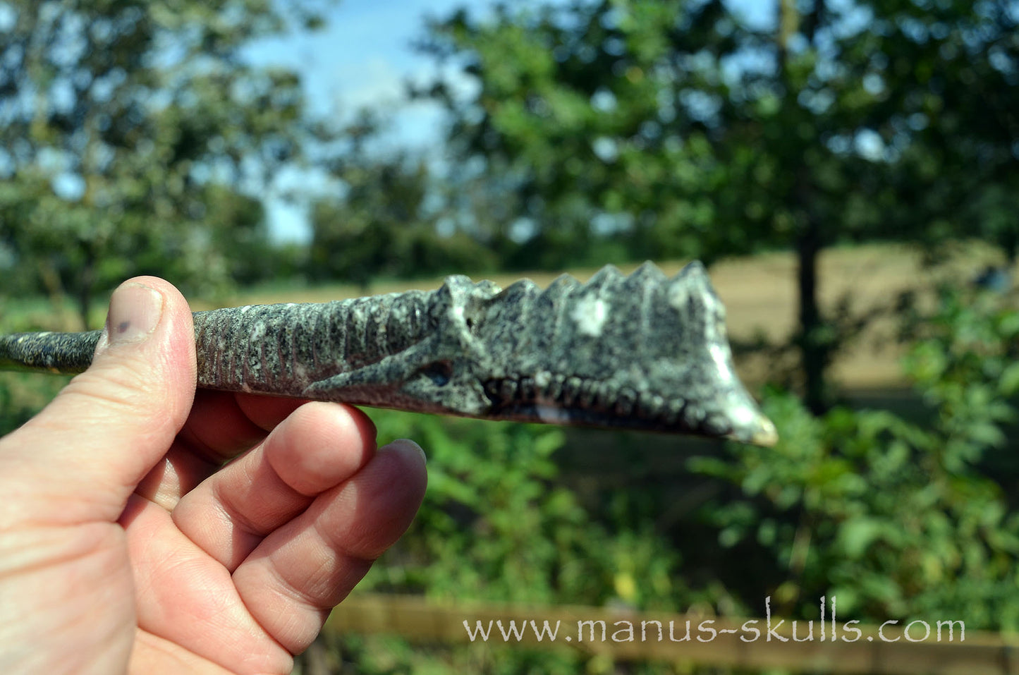 Preseli Bluestone Dragon Wand