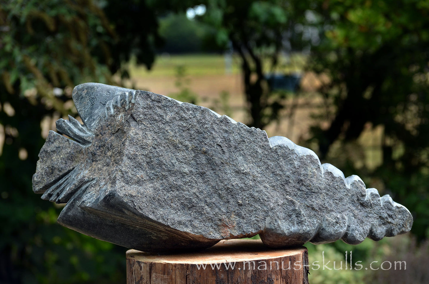 34.5 kg Unspotted PRESELI BLUESTONE Dragon