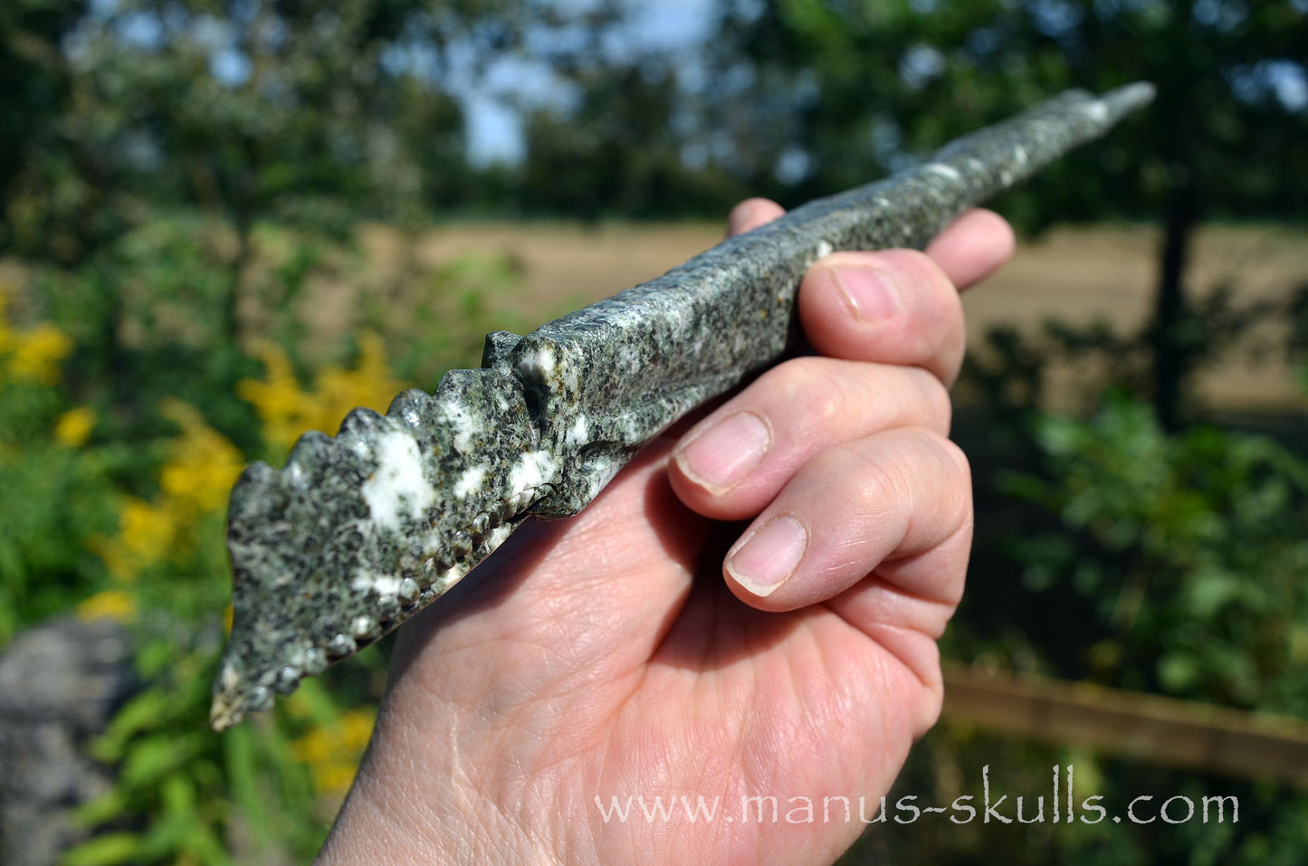 Preseli Bluestone Dragon Wand