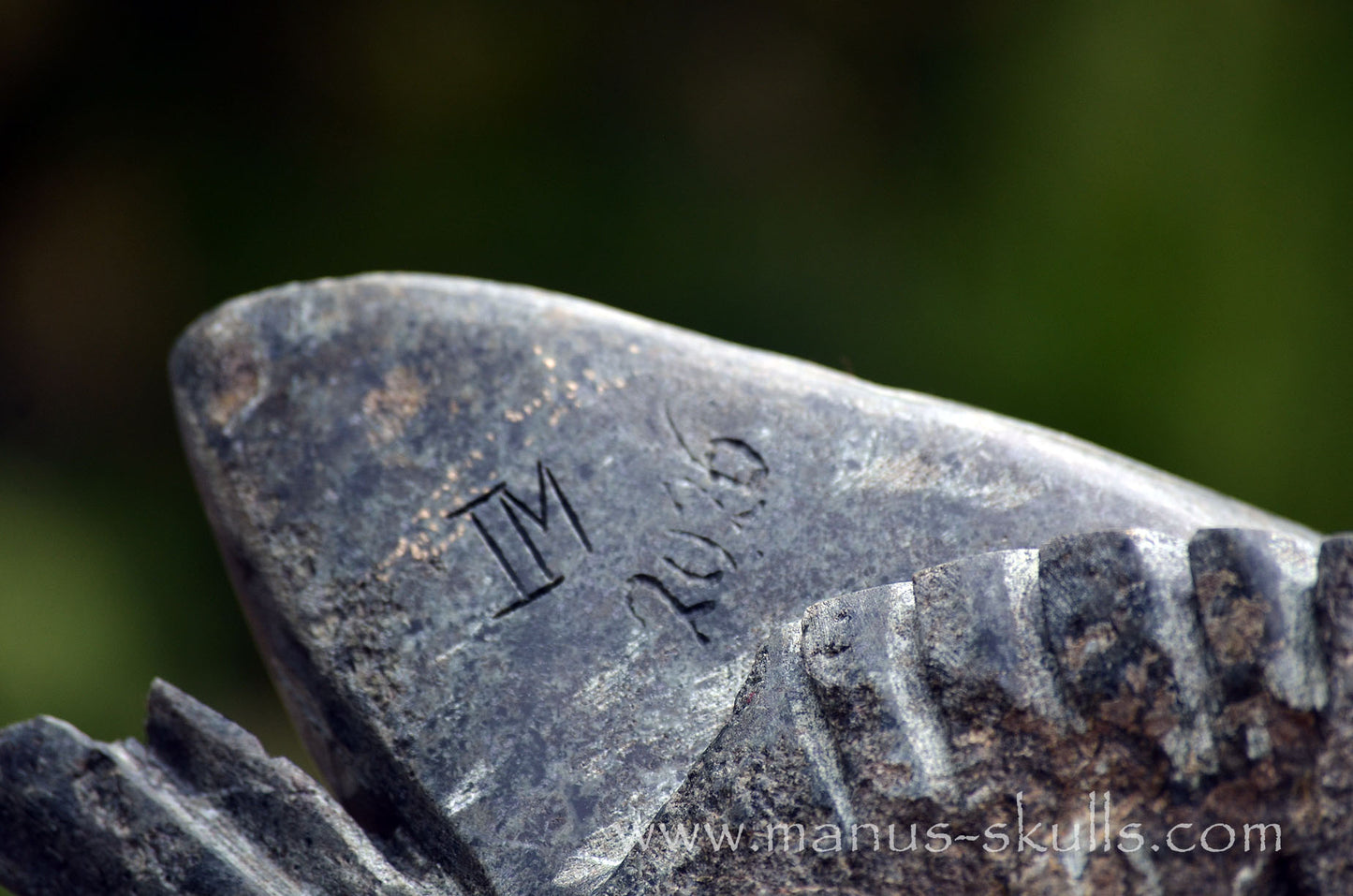 34.5 kg Unspotted PRESELI BLUESTONE Dragon