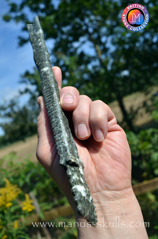 Preseli Bluestone Dragon Wand